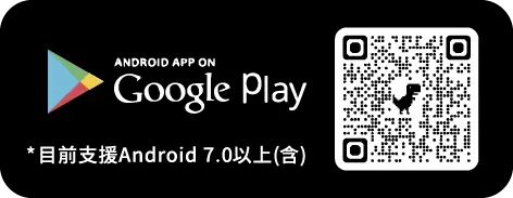 google Store
